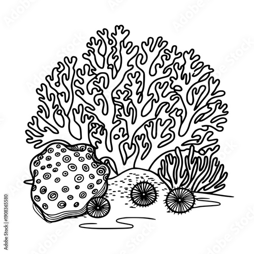 Coral reef scene with sea anemones and marine life