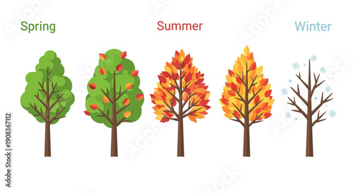 Seasons change: Spring, Summer, Autumn, and Winter trees illustration