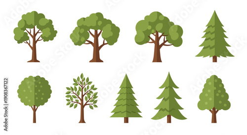 Set of Various Green Trees, Deciduous and Coniferous, Isolated on White Background