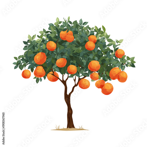 Flat 2D minimalist illustration of a Orange Tree, modern vector design with white background.