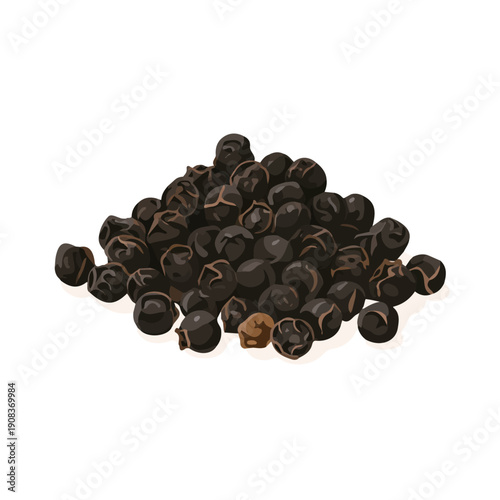 Flat 2D minimalist illustration of a Black Pepper, modern vector design with white background.