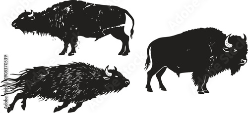 Silhouettes of bison in different poses isolated on white background, american wild animals