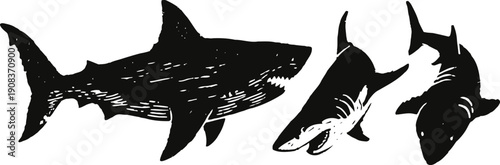 three black and white sharks swimming from different angles ocean predators in minimalistic