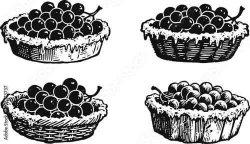 Black and white vintage grape fruit baskets illustration set hand drawn round fresh fruit in woven containers graphic