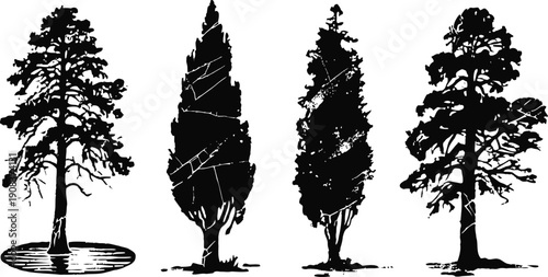 black silhouette illustrations of tall pine and cypress trees with detailed branches and foliage