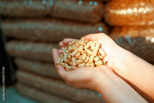 Wallpaper Mural Hands holding wooden pellets for sustainable bio energy Torontodigital.ca