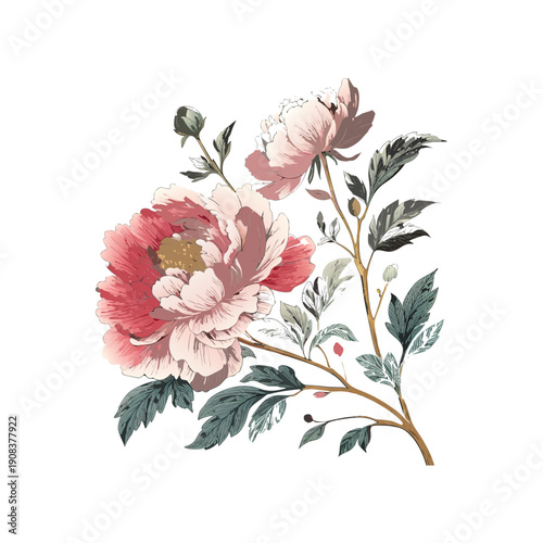 Elegant Layered Peony Flower Botanical Vector Illustration