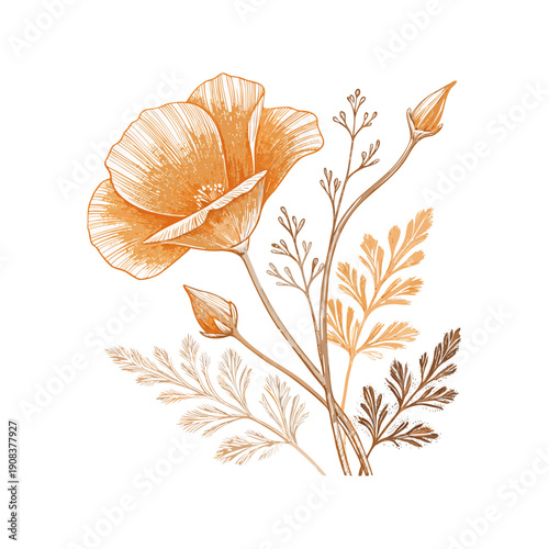 Elegant Layered Peony Flower Botanical Vector Illustration