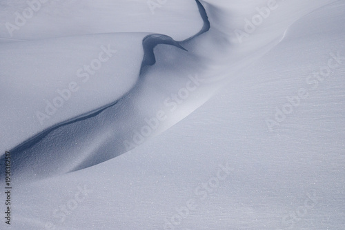 Neve