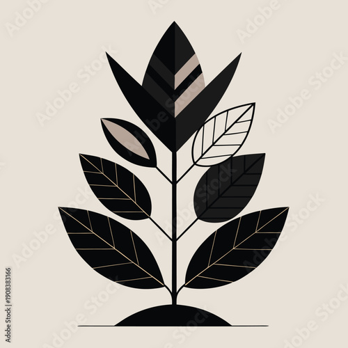 A solid off white or cream colored background fills the entire frame of the image