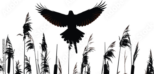 Flying bird silhouette above wetland reeds, minimal wildlife nature illustration, black animal design, freedom concept, marsh habitat background, isolated composition