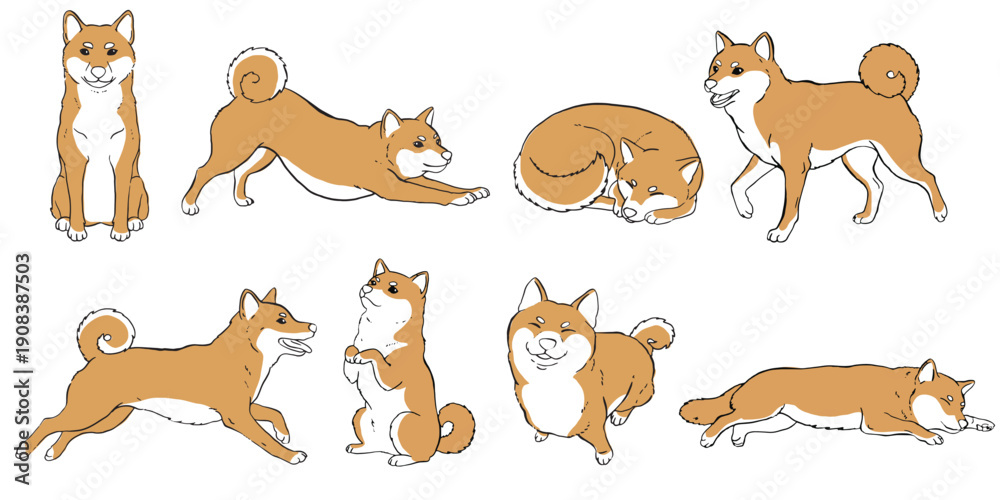 Obraz premium shiba inu, dog, puppy, japanese breed, akita, pet, animal, illustration, vector, line art, set, collection, poses, stretching, sleeping, jumping, sitting, running, playful, happy, cute, minimal, flat 