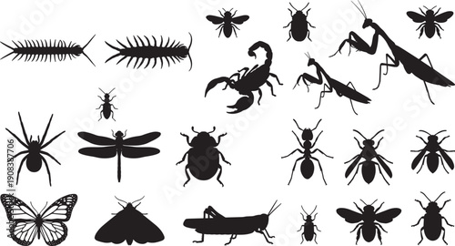 Insect And Arthropod Silhouette Set, Black Spider Ant Scorpion Butterfly Praying Mantis Bug Vector Collection