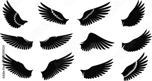 Flying bird wings silhouette collection, black feather wing set, vector illustration isolated on white background