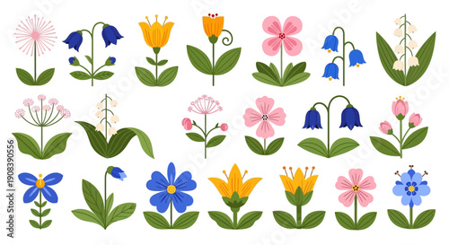 Colorful collection of various stylized spring wildflowers and blooming plants