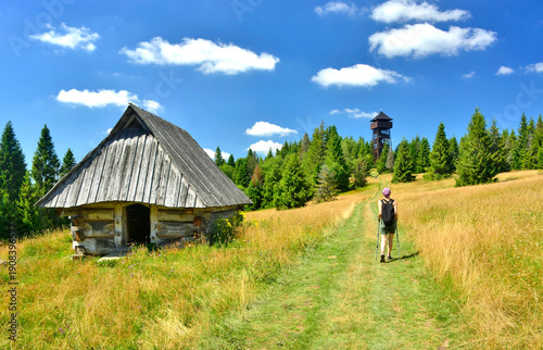 Female tourist with a backpack is hiking on a mountain trail to the lookout wooden tower on Magurki peak in Gorce mountains, Poland.
Summer sunny day in mountains.