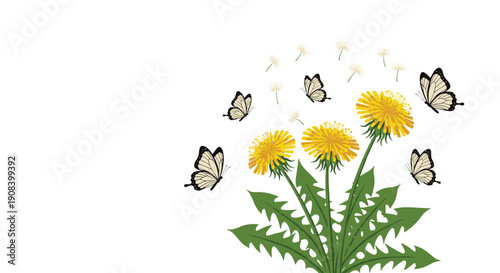 Bright yellow dandelion flowers are surrounded by fluttering butterflies and delicate seeds blowing in the wind on a white background.