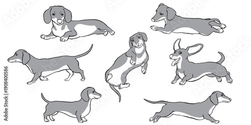 A set of dachshund or wiener dog illustrations in various poses, including running, sitting, and stretching, featured in a minimal flat line art style on a white background