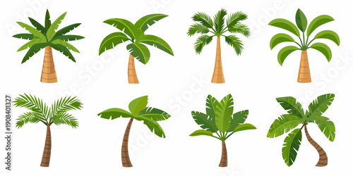 Collection of various stylized palm tree illustrations on white background