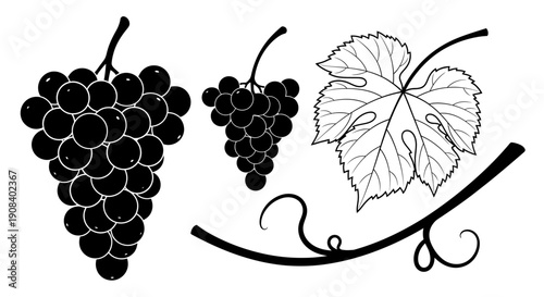 Bunches of grapes and vine leaves illustrated in a minimalist style on a simple background from a straightforward viewpoint.