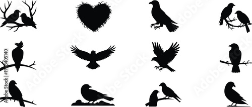Large collection of diverse bird silhouettes featuring crows ravens and songbirds in flying sitting and nesting poses isolated on white background for nature design