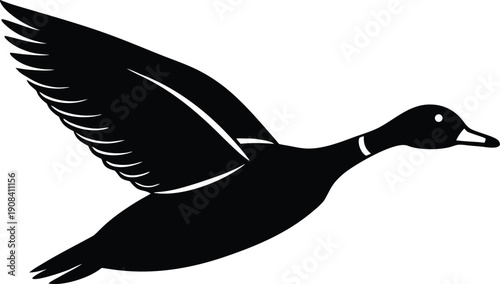  The duck is soaring into the sky, showing its legs silhouette vector