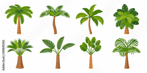 Collection of diverse palm trees and tropical foliage illustrations
