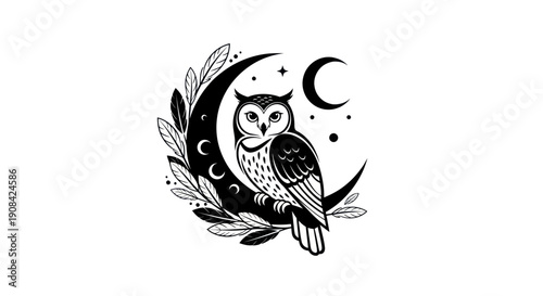Owl on crescent moon illustration