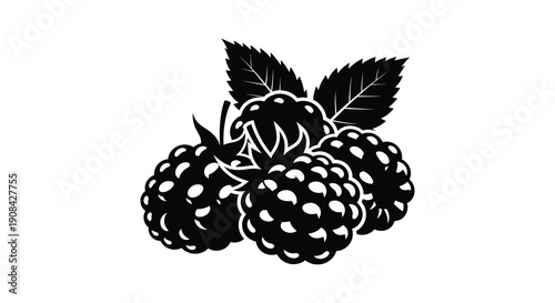 A striking black and white graphic depicts a cluster of ripe blackberries with detailed leaves high quality professional