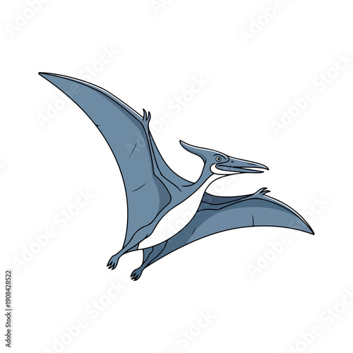 Cartoon Pterodactyl Flying Isolated Vector Illustration