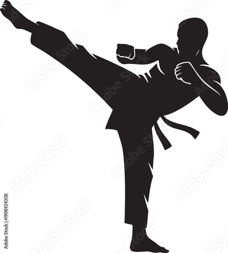 Karate martial artist silhouette performing a high side kick with fist raised in dynamic action pose