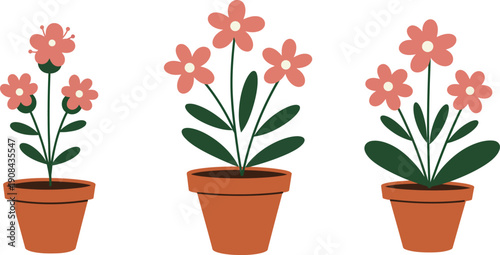 Colorful spring flowers blooming in decorative pots isolated on a clean background