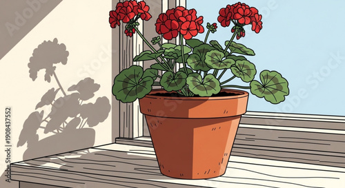 Vibrant red geranium plant in terracotta pot on wooden windowsill with blue sky background