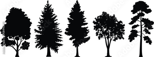 Black tree silhouettes set isolated on white background, various species including pine spruce and deciduous forest trees collection for nature landscape design projects