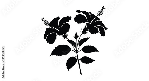 A striking black and white illustration depicts two hibiscus blossoms and foliage in a bold silhouette high quality