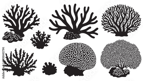 Diverse collection of coral reef illustrations with intricate details