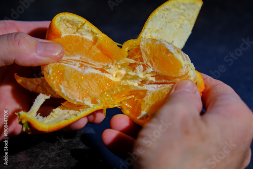 Orange geschält, aufgebrochen in der hand