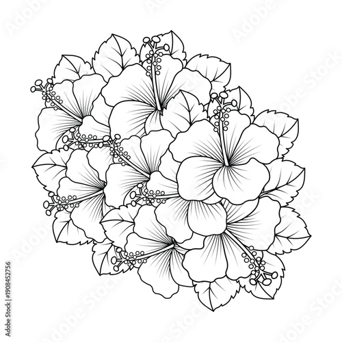 rose of sharon flower coloring page illustration with line art stroke of black and white hand drawn