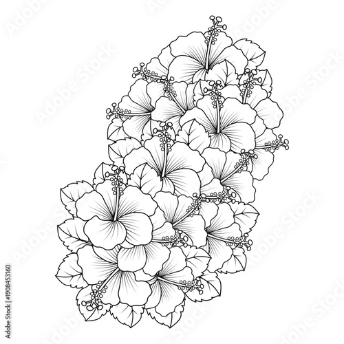 rose of sharon flower coloring page illustration with line art stroke of black and white hand drawn