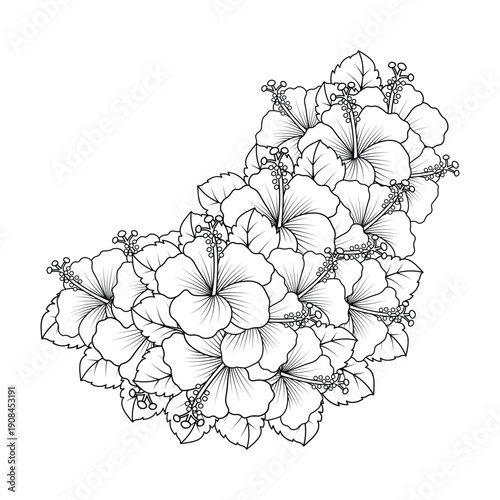 rose of sharon flower coloring page illustration with line art stroke of black and white hand drawn