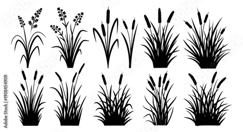 Graphic silhouette wetland plant set featuring cattails, reeds and various grasses for nature and garden designs