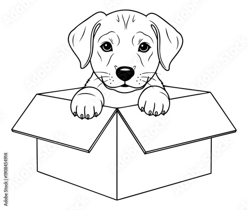 Hand drawn line art illustration of a puppy in a cardboard box depicting it peeking out for pet adoption