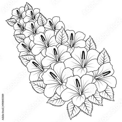 chinese hibiscus flower hand drawn coloring page illustration with line art on isolated background
