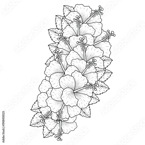 common hibiscus flower outline blossoming petal or rose mallow flowers coloring page