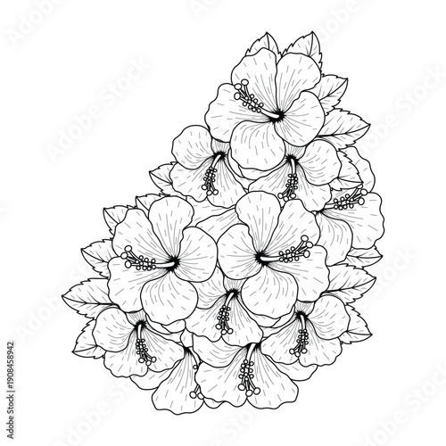 common hibiscus flower outline blossoming petal or rose mallow flowers coloring page