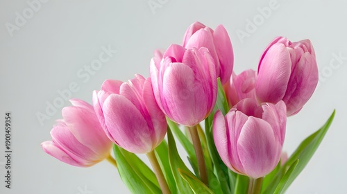 A Beautiful Bouquet of Delicate Pink Tulips on a Soft Background.