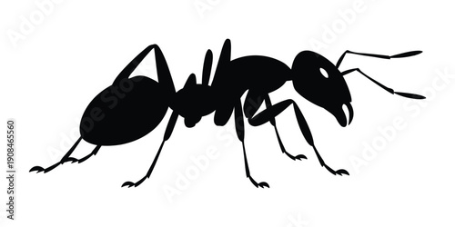 Detailed black silhouette illustration of an ant, depicted in profile on a clean white background, showcasing its segmented body and six legs.