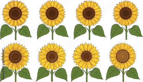Eight sunflower illustrations with varied petal and disk designs, botanical artwork for nature, decoration, gardening, floral education, and design themes