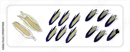 Coconuts with Fresh Corn on the Cob and Papaya Fruit a Sweet Dates