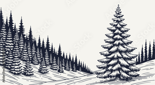 Detailed illustration of snow-covered evergreen trees in a winter landscape with rolling hills